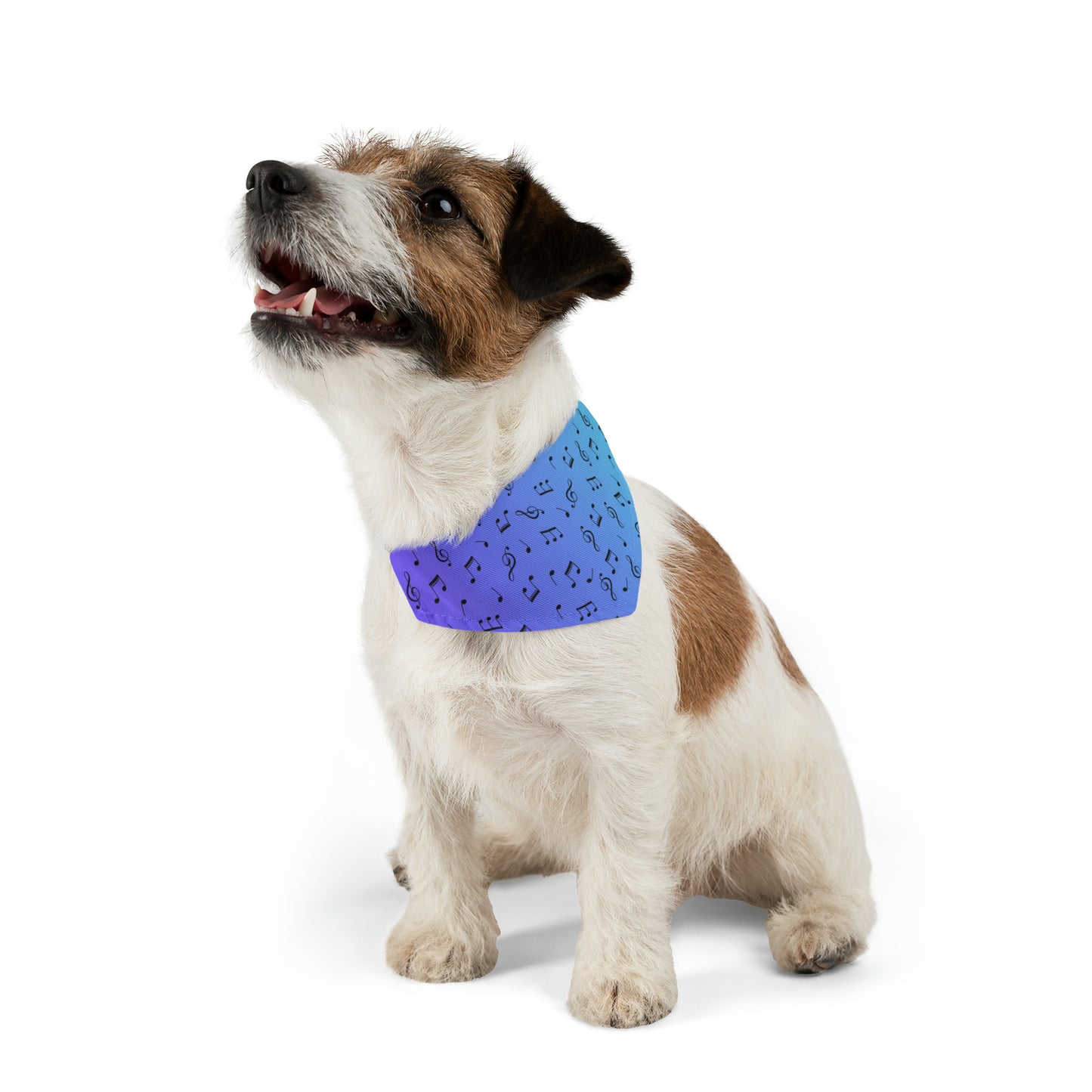 MUSIC NOTES PET BANDANA COLLAR