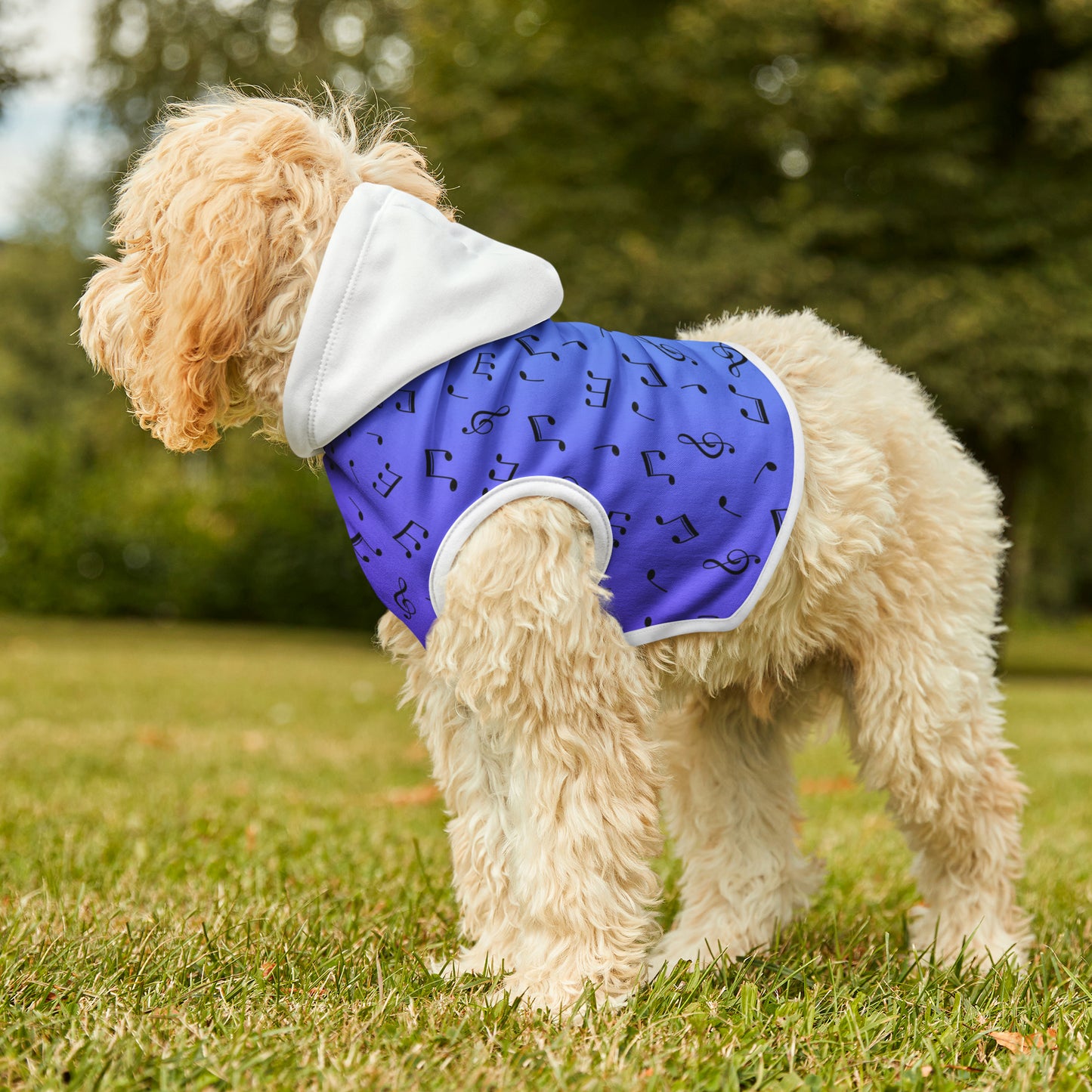 MUSIC NOTES PET HOODIE