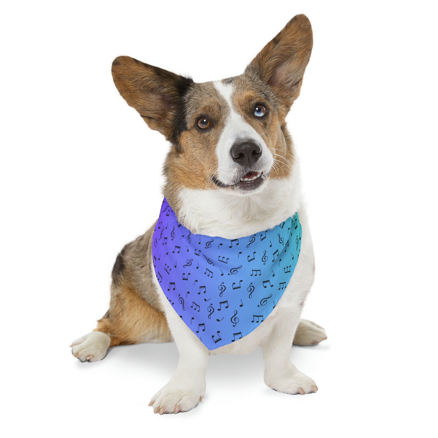 MUSIC NOTES PET BANDANA COLLAR