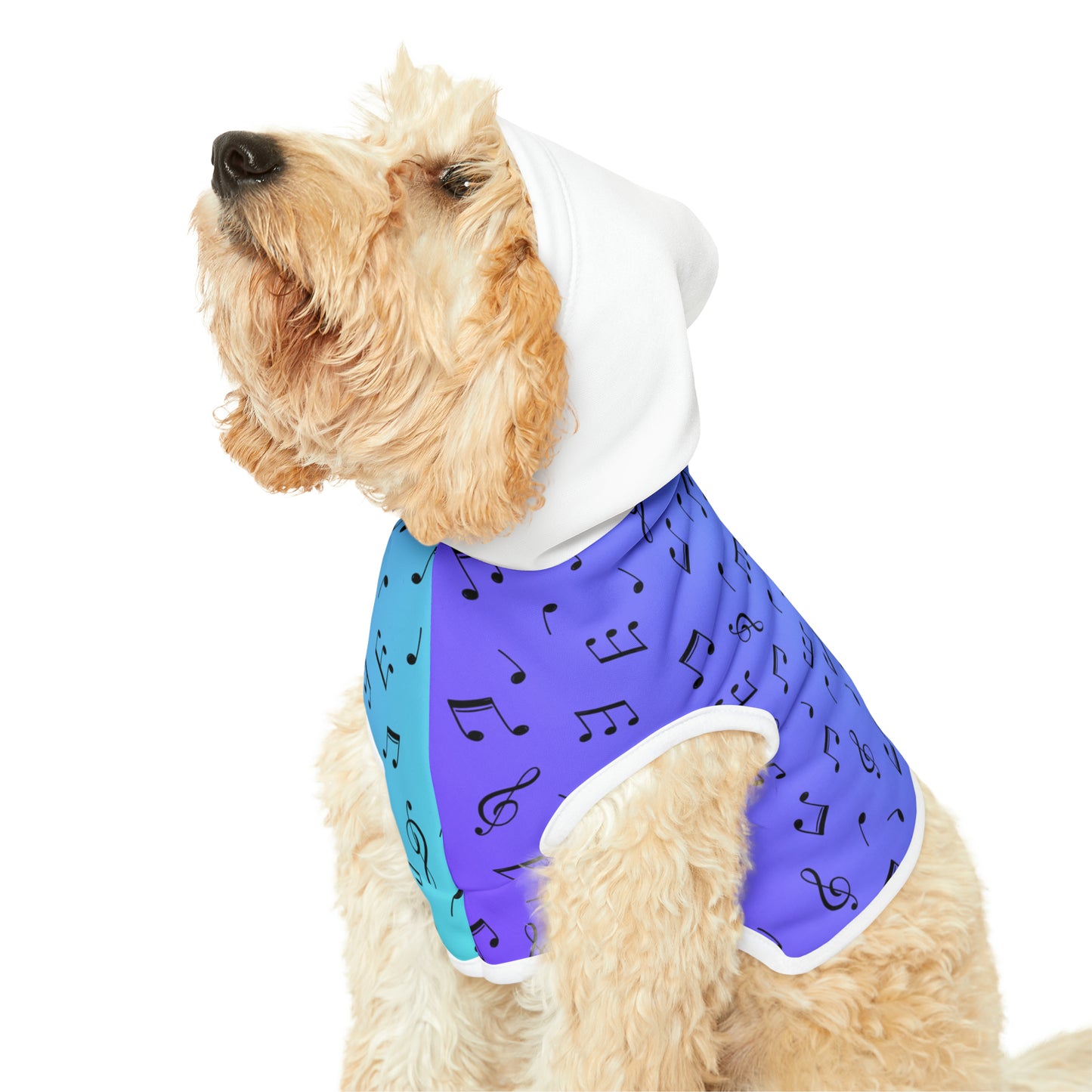 MUSIC NOTES PET HOODIE