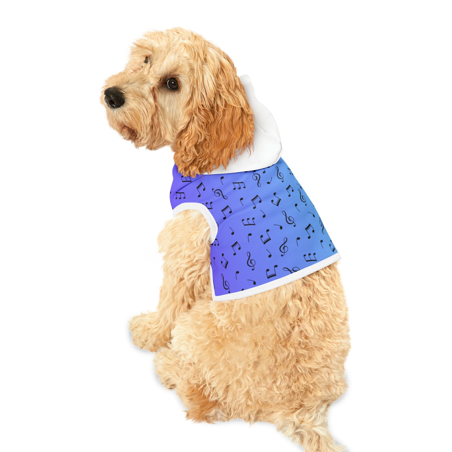 MUSIC NOTES PET HOODIE