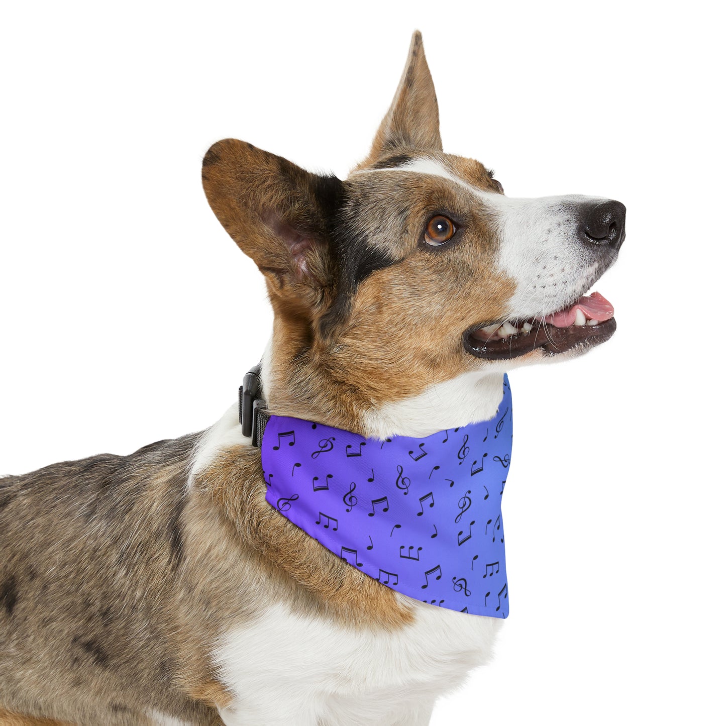 MUSIC NOTES PET BANDANA COLLAR