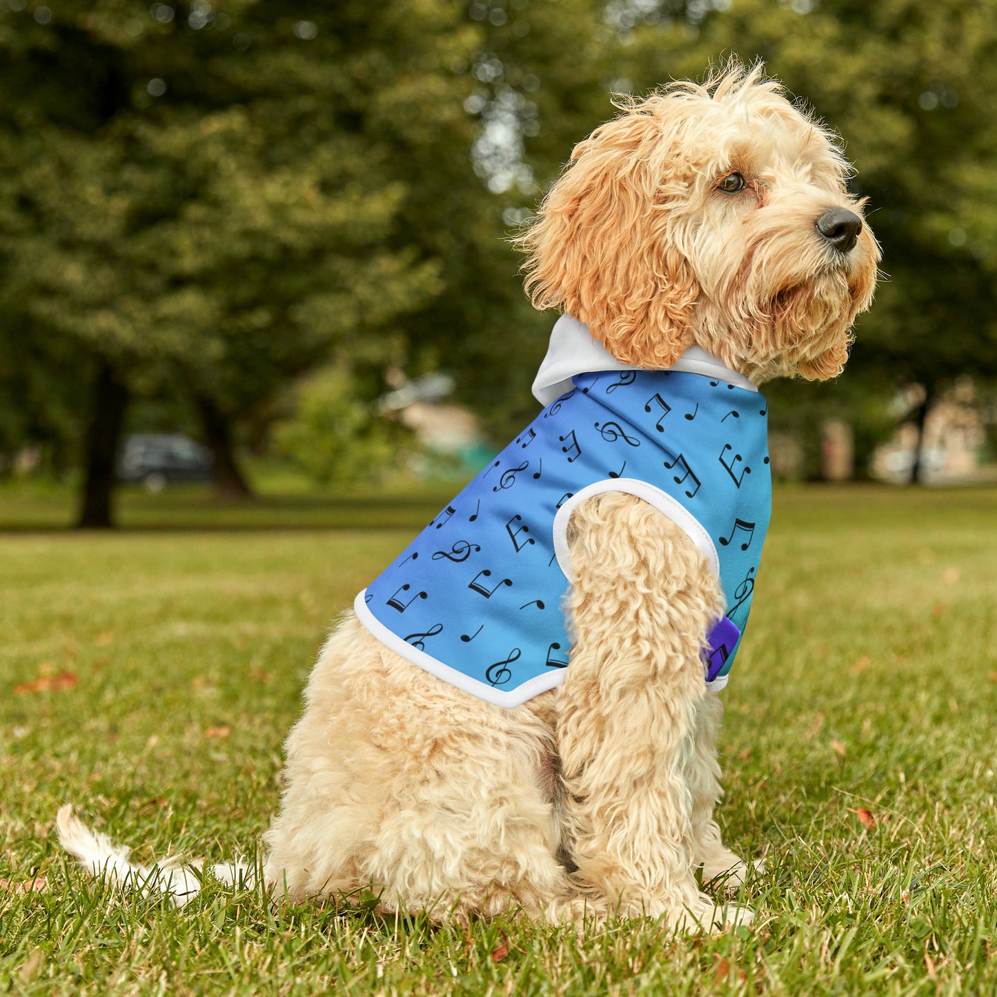 MUSIC NOTES PET HOODIE